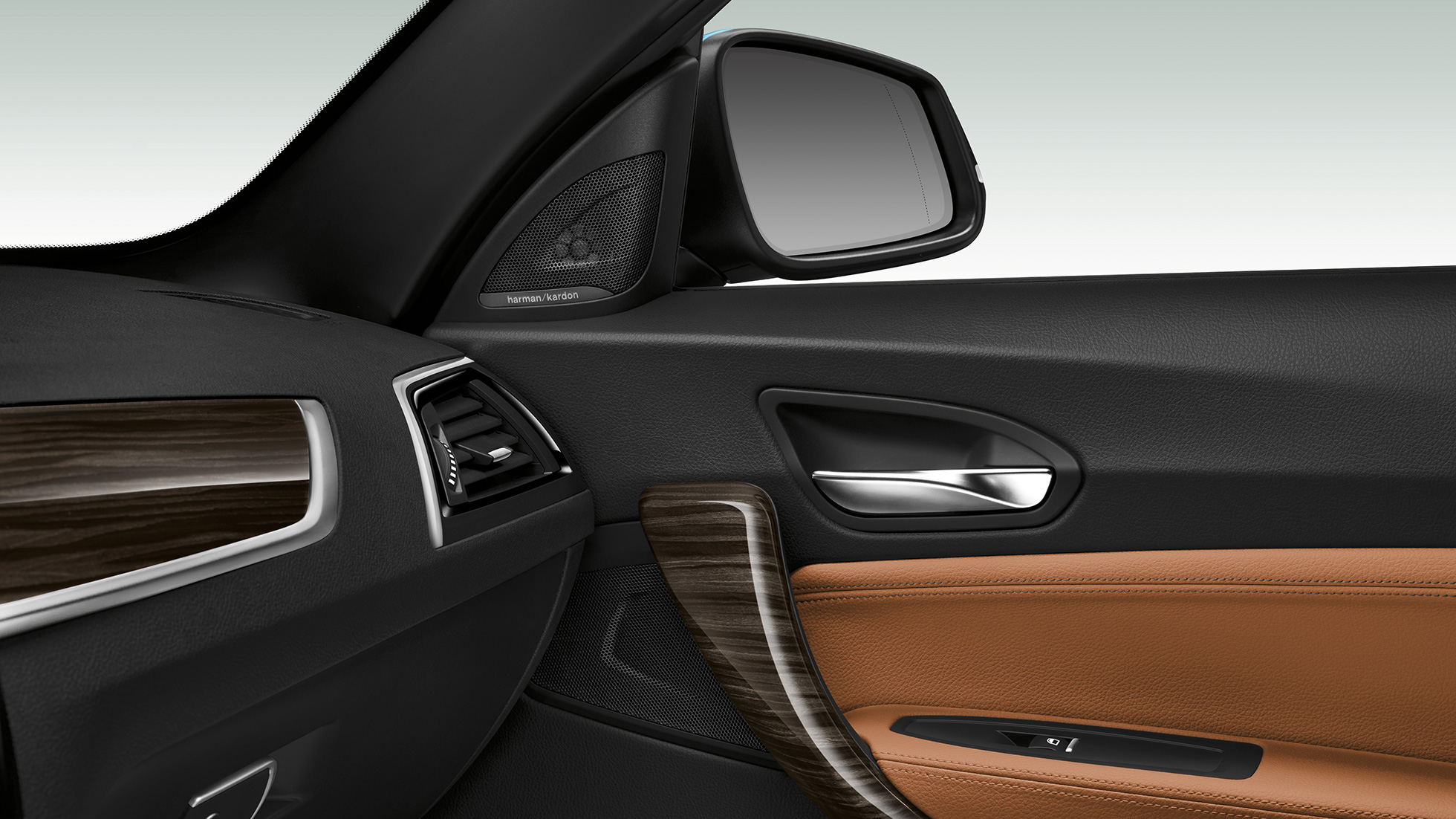 BMW 2 serijos kabrioletas, šoninių durelių panelė BMW 2 serijos kabrioletas, šoninių durelių panelė