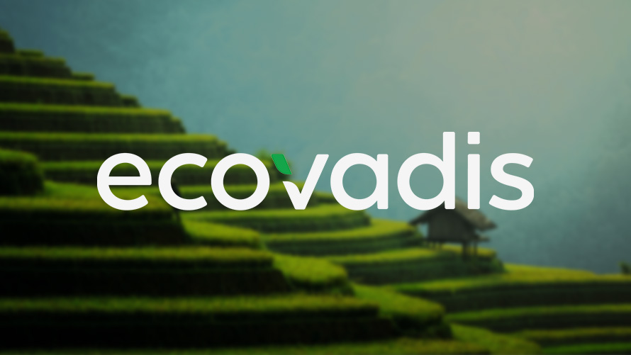 EcoVadis BMW grupės tvarumo strategijos apžvalga BMW grupės tvarumo strategijos apžvalga EcoVadis logotipas